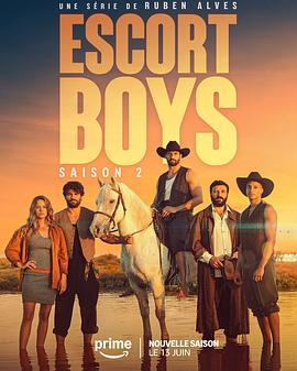 应召男郎第二季